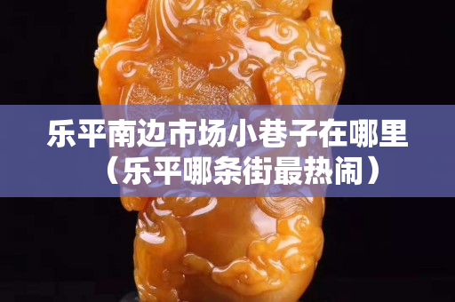 乐平南边市场小巷子在哪里（乐平哪条街最热闹）