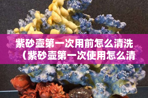 紫砂壶第一次用前怎么清洗（紫砂壶第一次使用怎么清洗）