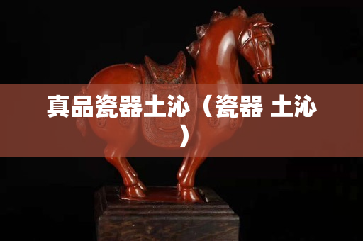 真品瓷器土沁（瓷器 土沁）