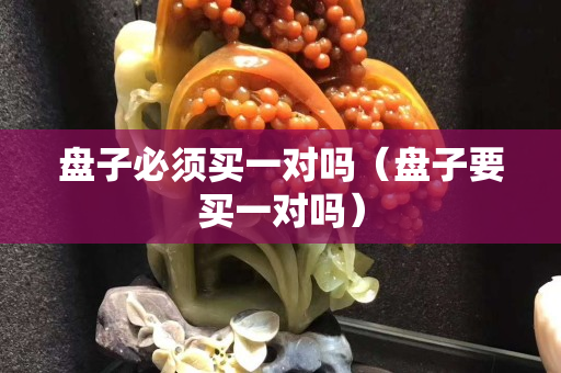 盘子必须买一对吗（盘子要买一对吗）