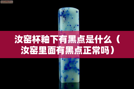 汝窑杯釉下有黑点是什么（汝窑里面有黑点正常吗）