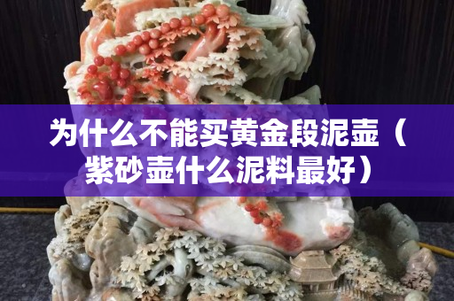 为什么不能买黄金段泥壶（紫砂壶什么泥料最好）