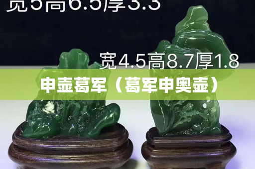 申壶葛军（葛军申奥壶）
