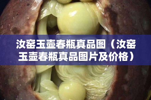 汝窑玉壶春瓶真品图（汝窑玉壶春瓶真品图片及价格）