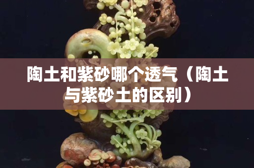 陶土和紫砂哪个透气（陶土与紫砂土的区别）