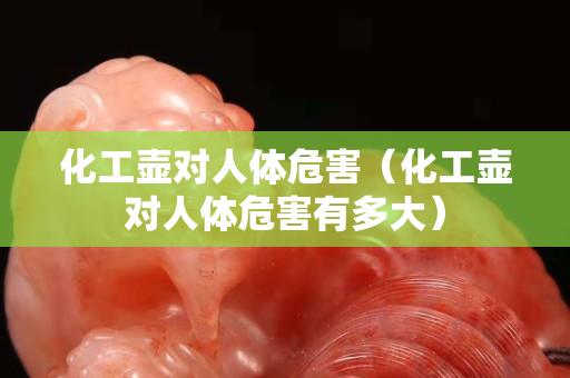 化工壶对人体危害（化工壶对人体危害有多大）