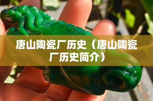 唐山陶瓷厂历史（唐山陶瓷厂历史简介）