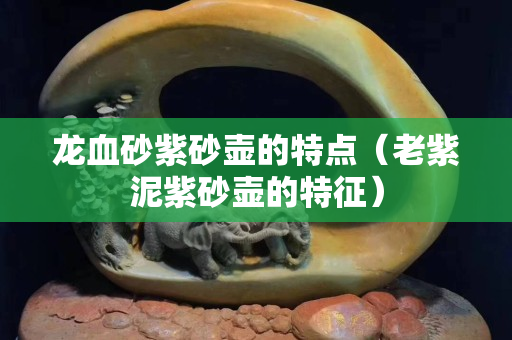 龙血砂紫砂壶的特点（老紫泥紫砂壶的特征）