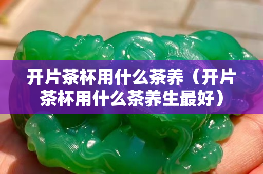 开片茶杯用什么茶养（开片茶杯用什么茶养生最好）