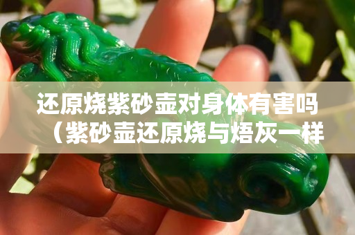 还原烧紫砂壶对身体有害吗（紫砂壶还原烧与焐灰一样吗）