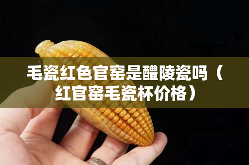 毛瓷红色官窑是醴陵瓷吗（红官窑毛瓷杯价格）