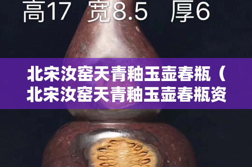 北宋汝窑天青釉玉壶春瓶（北宋汝窑天青釉玉壶春瓶资料）