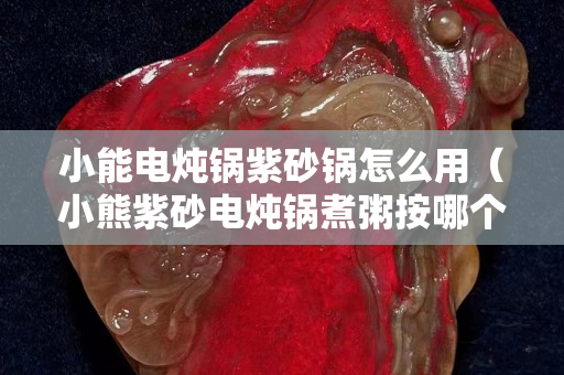 小能电炖锅紫砂锅怎么用（小熊紫砂电炖锅煮粥按哪个功能）