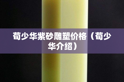 荀少华紫砂雕塑价格（荀少华介绍）