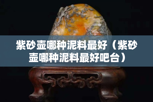 紫砂壶哪种泥料最好（紫砂壶哪种泥料最好吧台）