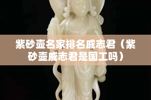 紫砂壶名家排名戚志君（紫砂壶戚志君是国工吗）