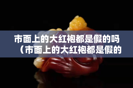 市面上的大红袍都是假的吗（市面上的大红袍都是假的吗能买吗）