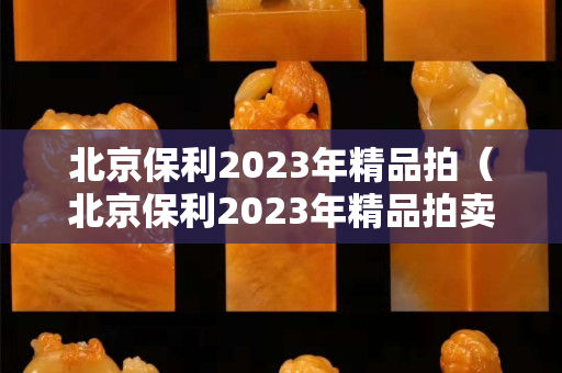 北京保利2023年精品拍（北京保利2023年精品拍卖公告）