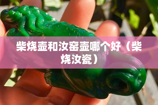 柴烧壶和汝窑壶哪个好（柴烧汝瓷）