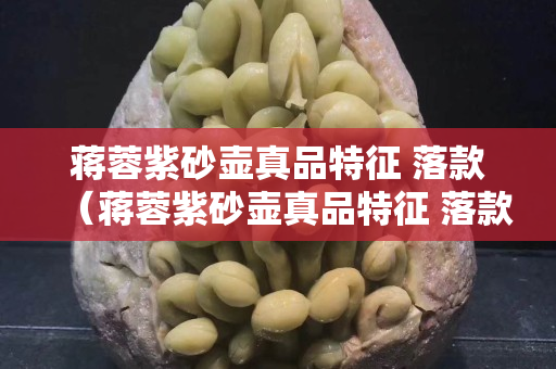 蒋蓉紫砂壶真品特征 落款（蒋蓉紫砂壶真品特征 落款图片大全）