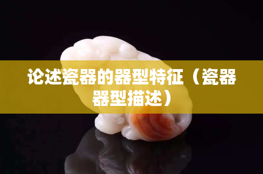 论述瓷器的器型特征（瓷器器型描述）
