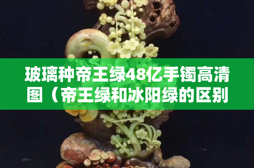玻璃种帝王绿48亿手镯高清图（帝王绿和冰阳绿的区别）