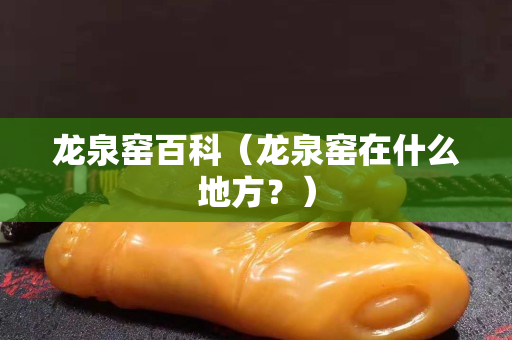 龙泉窑百科（龙泉窑在什么地方？）