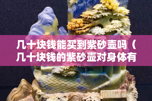 几十块钱能买到紫砂壶吗（几十块钱的紫砂壶对身体有害吗）