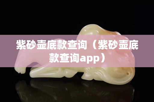 紫砂壶底款查询（紫砂壶底款查询app）