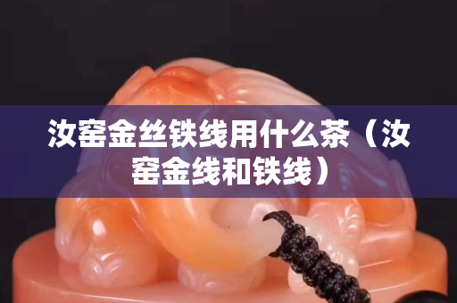 汝窑金丝铁线用什么茶（汝窑金线和铁线）