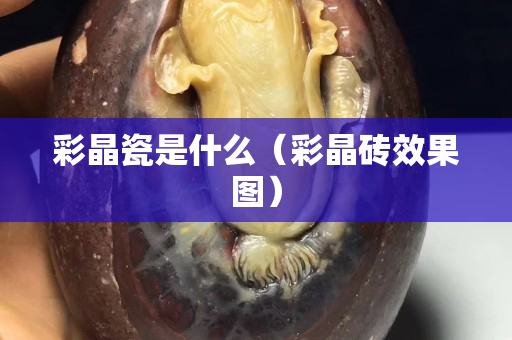 彩晶瓷是什么（彩晶砖效果图）