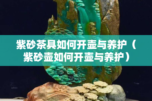 紫砂茶具如何开壶与养护（紫砂壶如何开壶与养护）