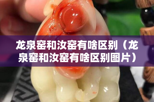 龙泉窑和汝窑有啥区别（龙泉窑和汝窑有啥区别图片）