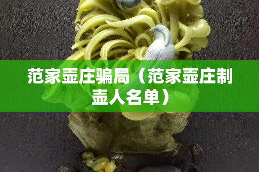 范家壶庄骗局（范家壶庄制壶人名单）