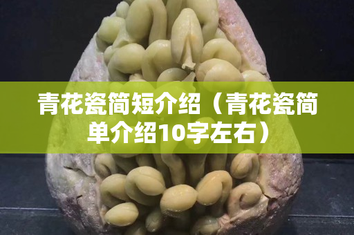 青花瓷简短介绍（青花瓷简单介绍10字左右）