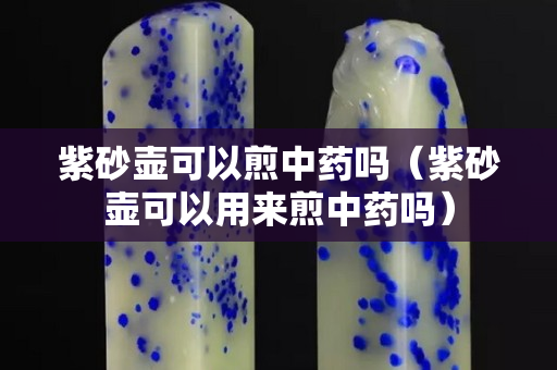 紫砂壶可以煎中药吗（紫砂壶可以用来煎中药吗）