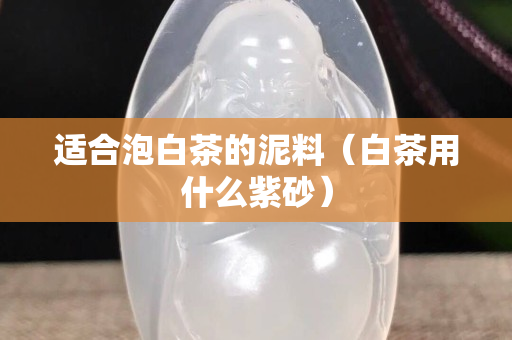 适合泡白茶的泥料（白茶用什么紫砂）