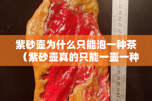 紫砂壶为什么只能泡一种茶（紫砂壶真的只能一壶一种茶吗）