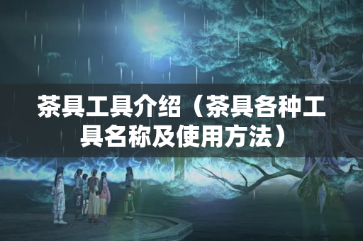 茶具工具介绍（茶具各种工具名称及使用方法）