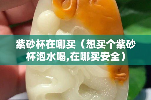 紫砂杯在哪买（想买个紫砂杯泡水喝,在哪买安全）