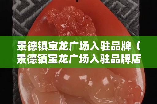 景德镇宝龙广场入驻品牌（景德镇宝龙广场入驻品牌店）