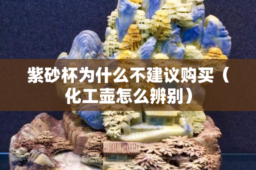 紫砂杯为什么不建议购买（化工壶怎么辨别）