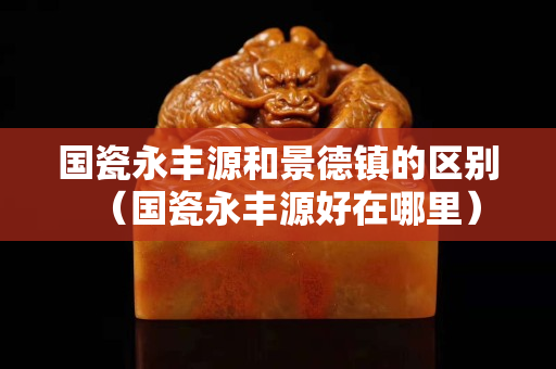 国瓷永丰源和景德镇的区别（国瓷永丰源好在哪里）