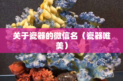 关于瓷器的微信名（瓷器唯美）