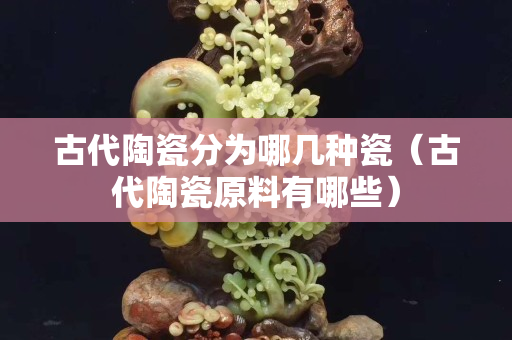 古代陶瓷分为哪几种瓷（古代陶瓷原料有哪些）