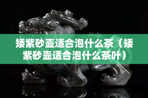 矮紫砂壶适合泡什么茶（矮紫砂壶适合泡什么茶叶）