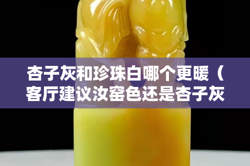 杏子灰和珍珠白哪个更暖（客厅建议汝窑色还是杏子灰）