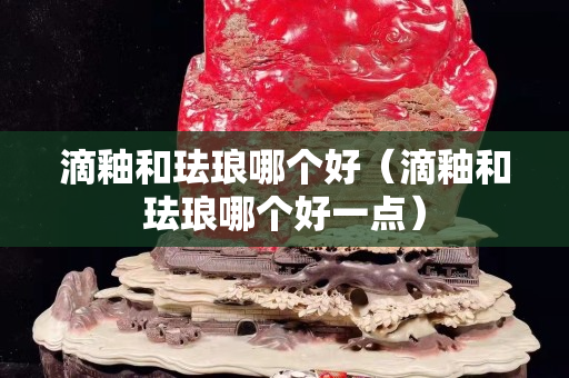 滴釉和珐琅哪个好（滴釉和珐琅哪个好一点）