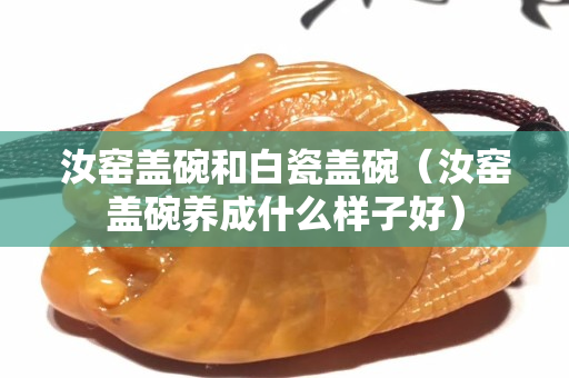 汝窑盖碗和白瓷盖碗（汝窑盖碗养成什么样子好）