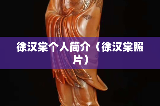 徐汉棠个人简介（徐汉棠照片）